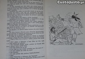 imagem_4