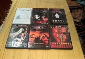 imagem_7