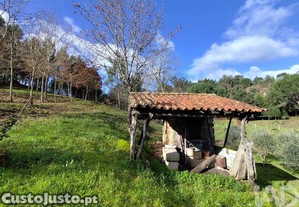 imagem_6