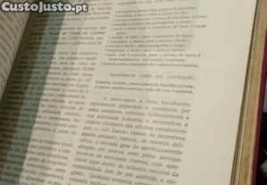 imagem_8
