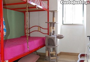 imagem_9