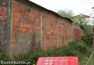 imagem_12