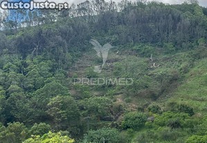 imagem_7