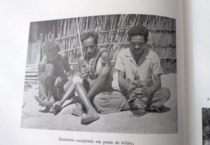 imagem_4