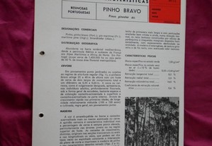 N 13586 - Fichas de Características das madeiras