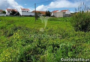 imagem_14