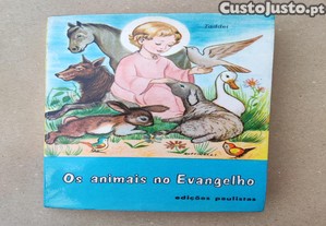 imagem_1