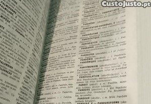 imagem_6