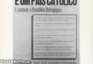 imagem_8