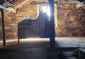 imagem_12