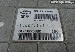 imagem_3