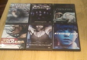 imagem_7