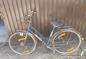 imagem_8