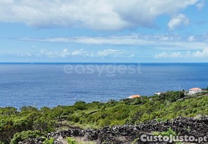 Terreno Com Vinhas, Vista Mar E Viabilidade De...