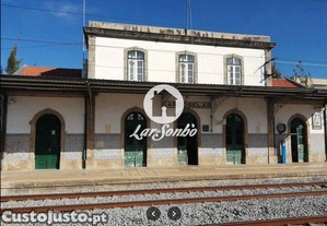 imagem_13