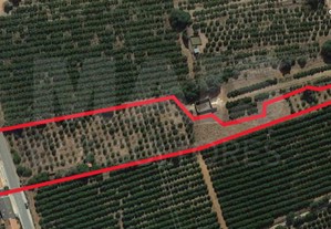 Moradia T2 com Terreno de 11109 m2 perto do Algoz