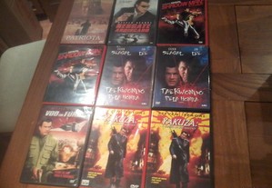 imagem_7