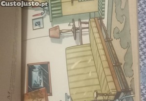 imagem_5