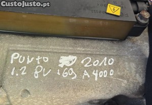 imagem_3