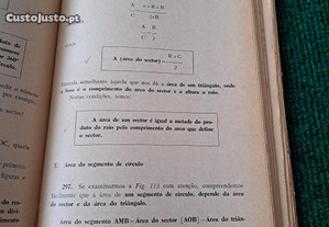 imagem_8