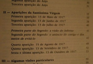imagem_8