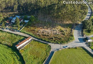 Terreno Com 4200M2 Em São Pedro De Avioso