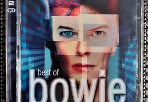 David Bowie - 8 CDs + 1 Cassete - Raros - Muito Bom Estado