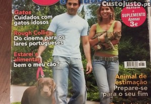 imagem_5