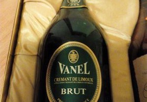 Champanhe Vanel Cremant de Limoux 1988