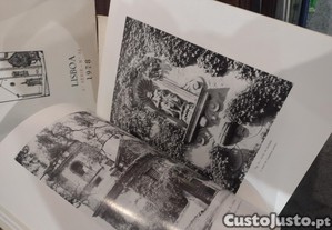 imagem_8