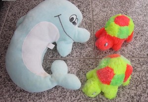 imagem_5