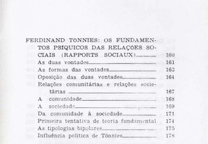 imagem_8