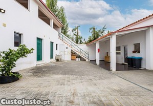imagem_6