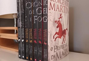 7 volumes As Crónicas de Gelo e Fogo / George R. R. Martin [portes grátis]