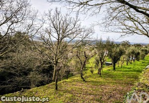 imagem_35