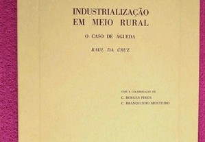 Industrialização em Meio Rural - O Caso de Águeda