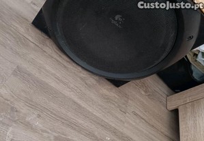 Logitech Z5500