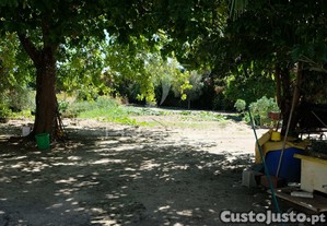 imagem_27