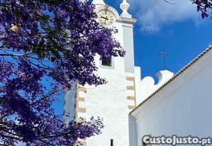 imagem_25