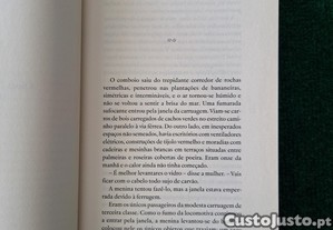 imagem_7
