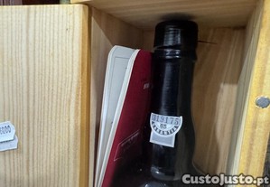 imagem_3
