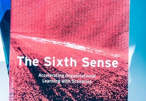 The Sixth Sense: Accelerating Organizational Learn