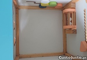 imagem_6