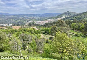 Terreno em Vouzela e Paços de Vilharigues de 26750