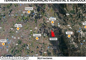 imagem_4