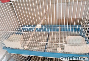 imagem_3