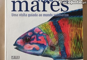 imagem_1