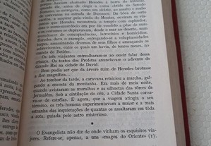 imagem_6