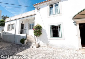 imagem_18