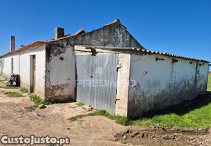 imagem_8